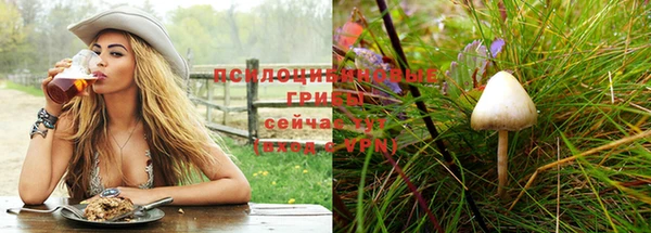 соль ск Балахна