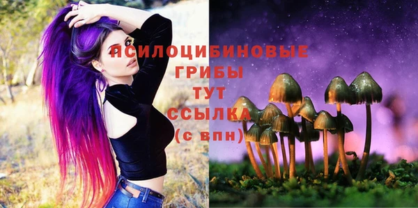соль ск Балахна
