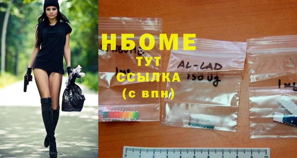 прущие грибы Беломорск