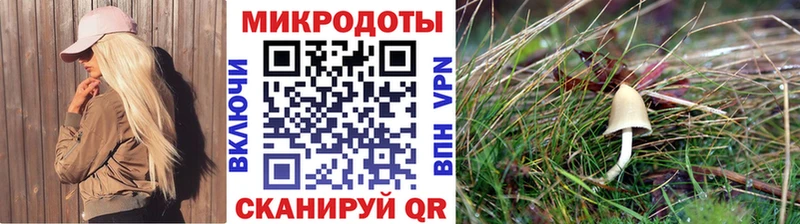 mega сайт  цена   Новая Ладога  Псилоцибиновые грибы Cubensis 